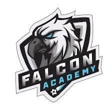FALCONS ACADEMY